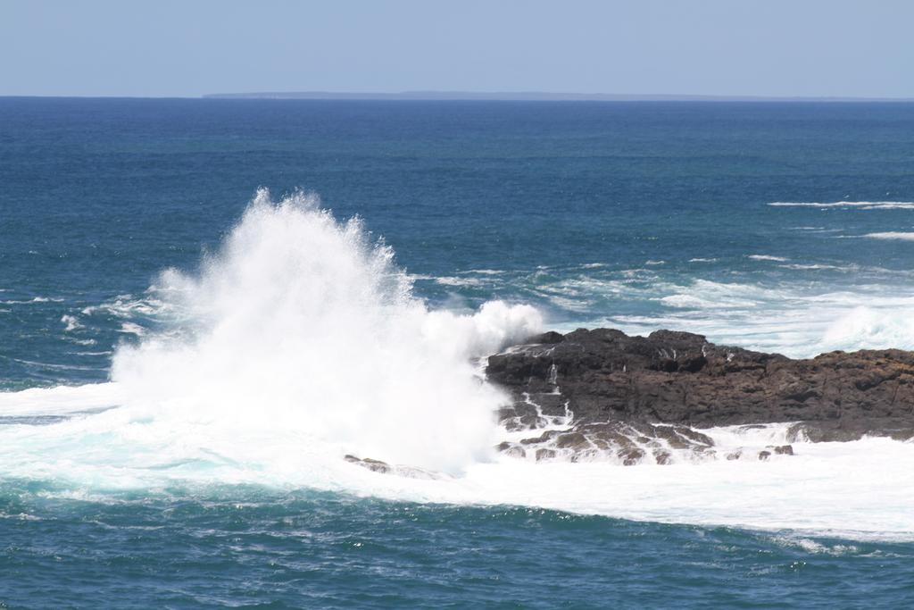 Sea Whispers Bed & Breakfast ไคแอมา ภายนอก รูปภาพ